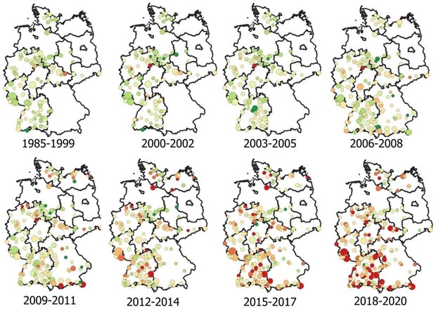Auf der Abbildung sind auf verschiedenen Deutschlandkarten die Veränderung des Eschenzustandes in der Waldzustandserhebung im Laufe der letzten Jahrzehnte abgebildet. 