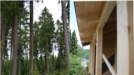 Nadelbäume im Wald und ein Produkt aus Nadelholz, ein Hausdach.