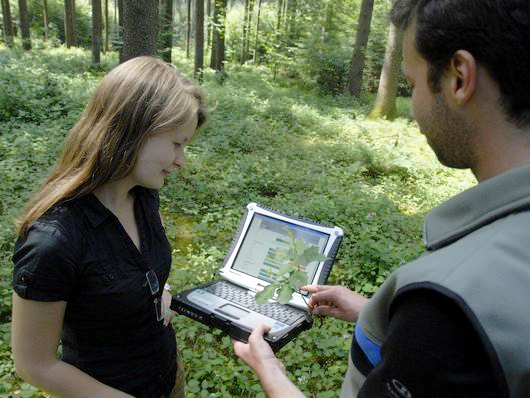 Förster berät eine Waldbesitzerin am Laptop im Wald.