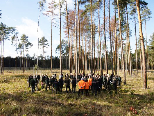 Teilnehmer des Waldbaulehrgangs auf einer Kahlfläche im Wald 