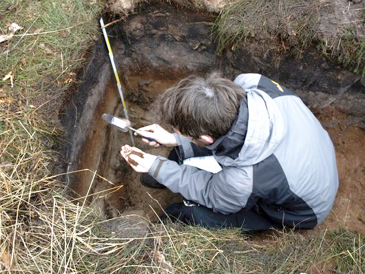 Mitarbeiter in einem Loch im Boden bei der Bodenansprache